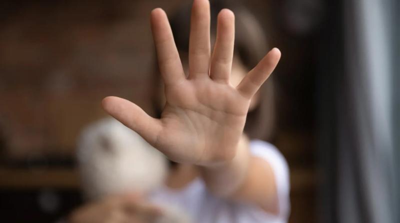 فاجعة في كرداسة، القبض على طلاب اعتدوا على طفلة بأرض زراعية