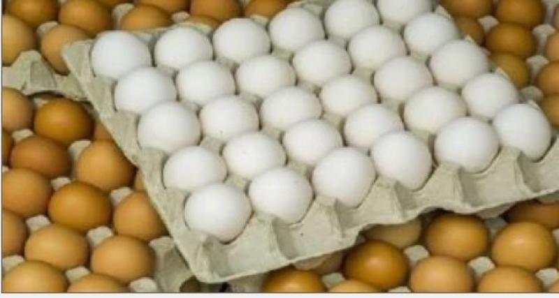 فيديو مزحة البيضة على تيك توك يتحول إلى قضية تحرش عالميًا