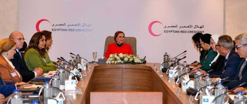 السيدة انتصار السيسي، قرينة رئيس الجمهورية