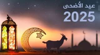إعلان دار الإفتاء المصرية عن رؤية هلال شهر ذي الحجة لعام 1446 هـ