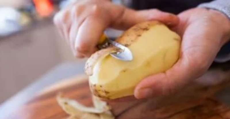 البطاطس 