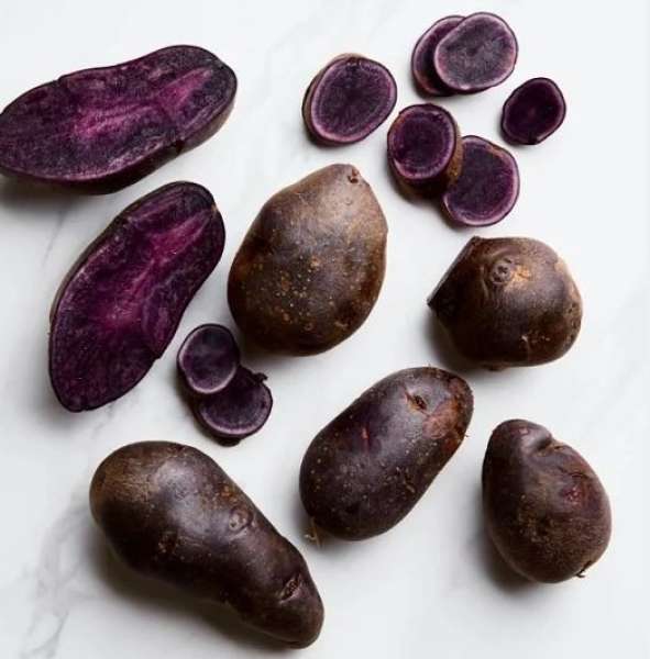 البطاطس