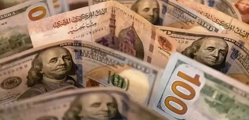 سعر الدولار مقابل الجنيه المصري اليوم