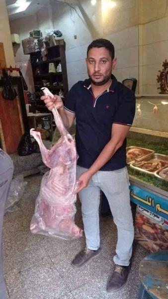لحوم كلاب