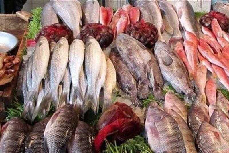 استقرار أسعار الأسماك في مصر اليوم