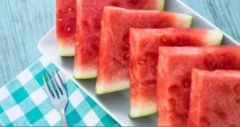 البطيخ