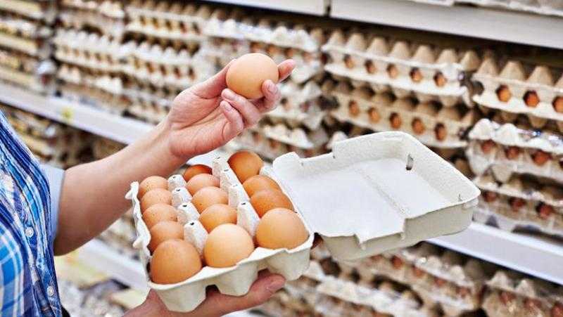 أسعار البيض في مصر اليوم الثلاثاء 1-7-2025، استقرار نسبي مع تحركات طفيفة