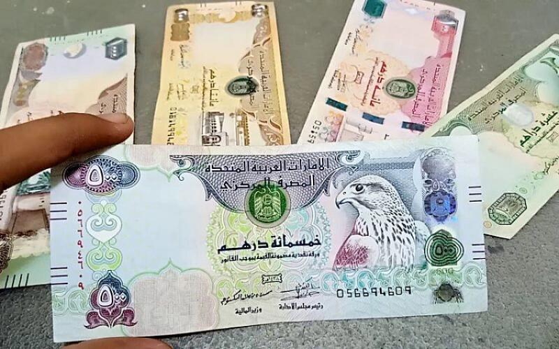 تحديث أسعار الدرهم الإماراتي مقابل الجنيه المصري اليوم الثلاثاء 1-7-2025
