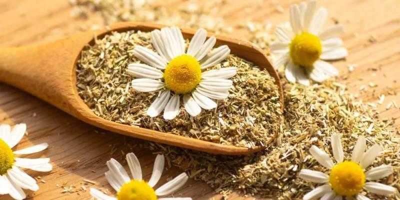أفضل 5 أعشاب فعّالة لمواجهة التوتر وتعزيز الراحة النفسية