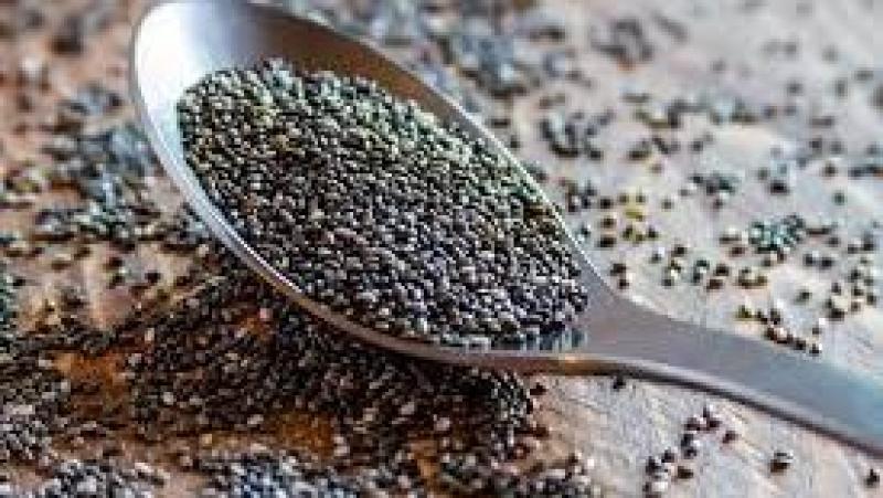 بذور الشيا