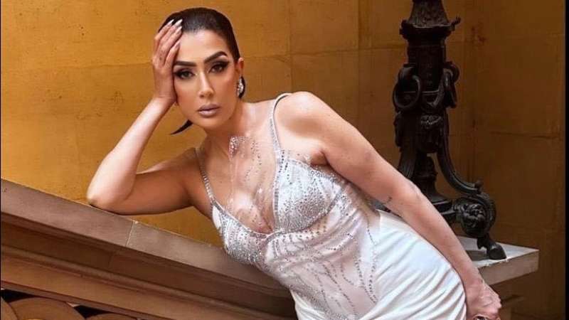 الفنانة غادة عبدالرازق