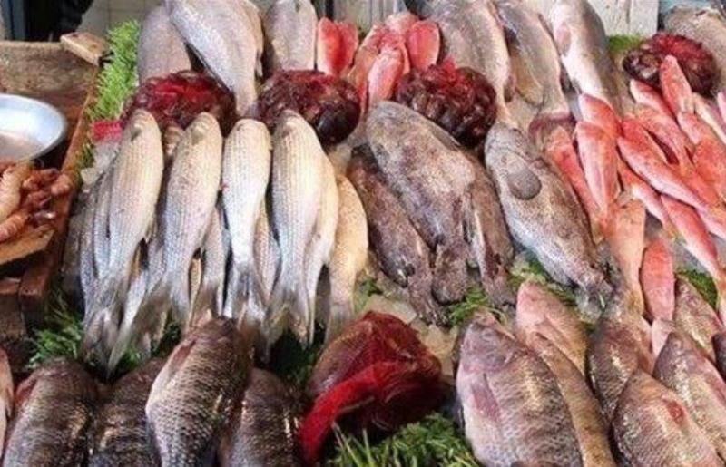 أسعار الأسماك في مصر اليوم، استقرار نسبي وتغيرات ملحوظة