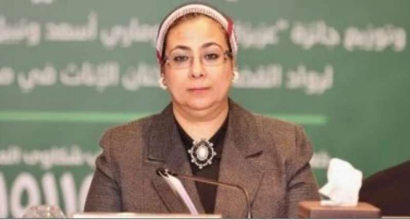 المستشار أمل عمار