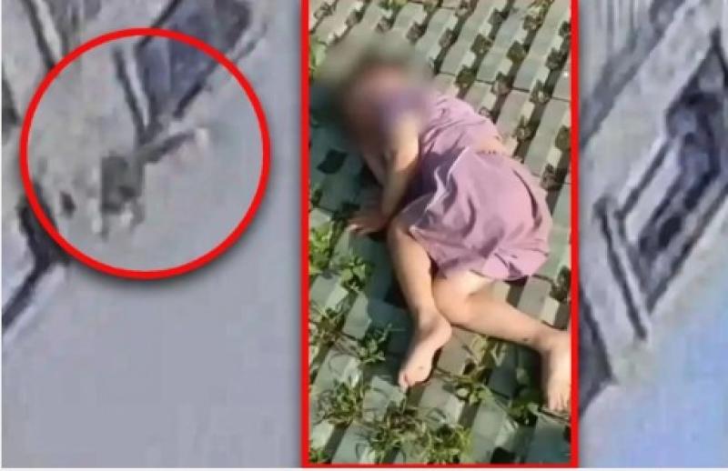 ”الطفل المعجزة”.. نجاة مذهلة لطفل صيني بعد سقوطه من الدور الـ18