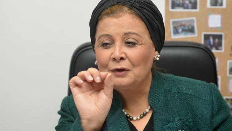 الدكتورة عبلة الألفي، نائب وزير الصحة