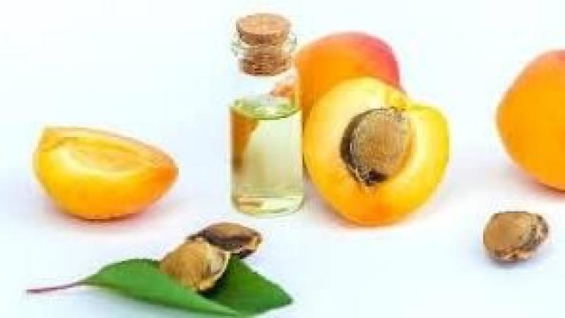 زيت بذور المشمش