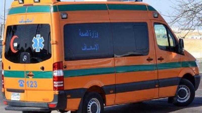 انقلاب ميكروباص في الشيخ زايد يودي بحياة ربة منزل ويصيب 12 آخرين