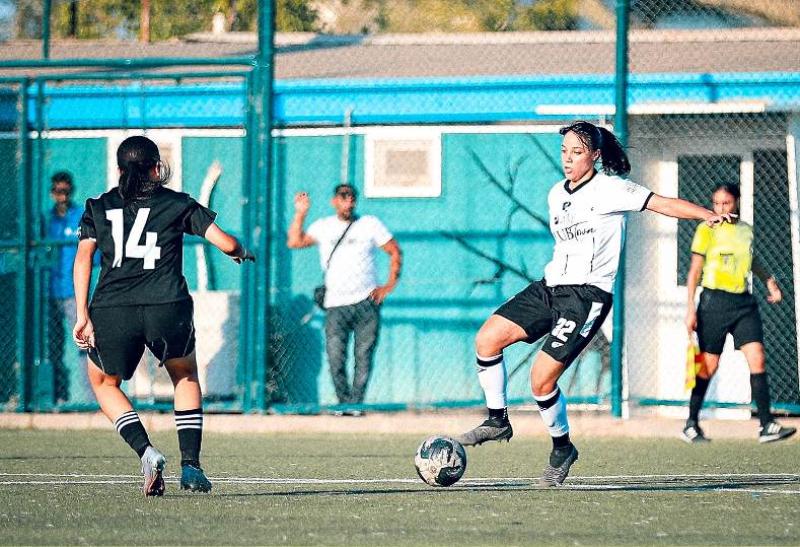 شروق السيد