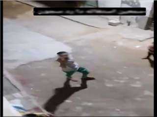 الأمن ينصف سيدة الإسكندرية بعد واقعة اعتداء لفظي.. وضبط المتهم
