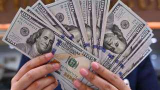 سعر الدولار اليوم استقرار أمام الجنيه المصري