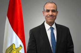 وزير الخارجية المصري يعلن عن فتح الطرق أمام السفارات الأجنبية