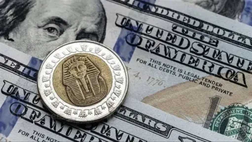 استقرار سعر الدولار أمام الجنيه المصري اليوم