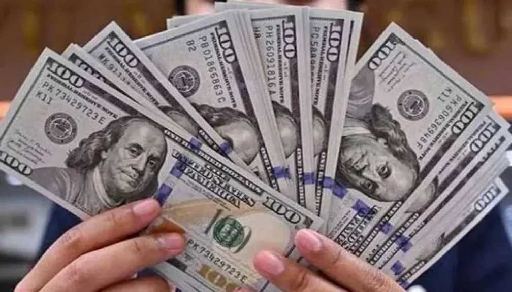 سعر الدولار اليوم في البنوك المصرية مقابل الجنيه المصري .. تحديث