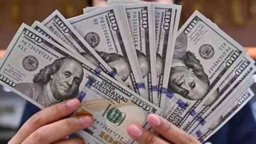 سعر الدولار اليوم في البنوك المصرية مقابل الجنيه المصري .. تحديث