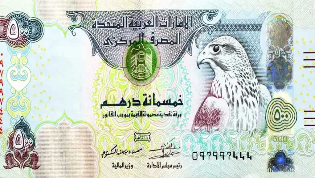 سعر الدرهم الإماراتي مقابل الجنيه المصري اليوم