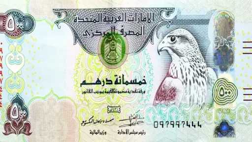 سعر الدرهم الإماراتي مقابل الجنيه المصري اليوم