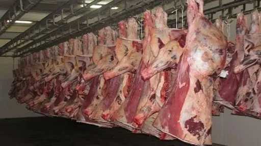 استقرار أسعار اللحوم في محلات الجزارة ومنافذ وزارة الزراعة