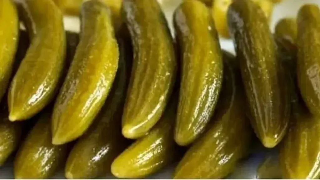 الخيار المخلل