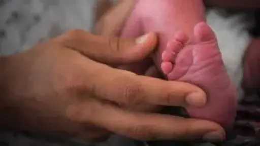 العثور على رضيع حديث الولادة بجوار كوبري بالمنوفية والتحقيقات جارية