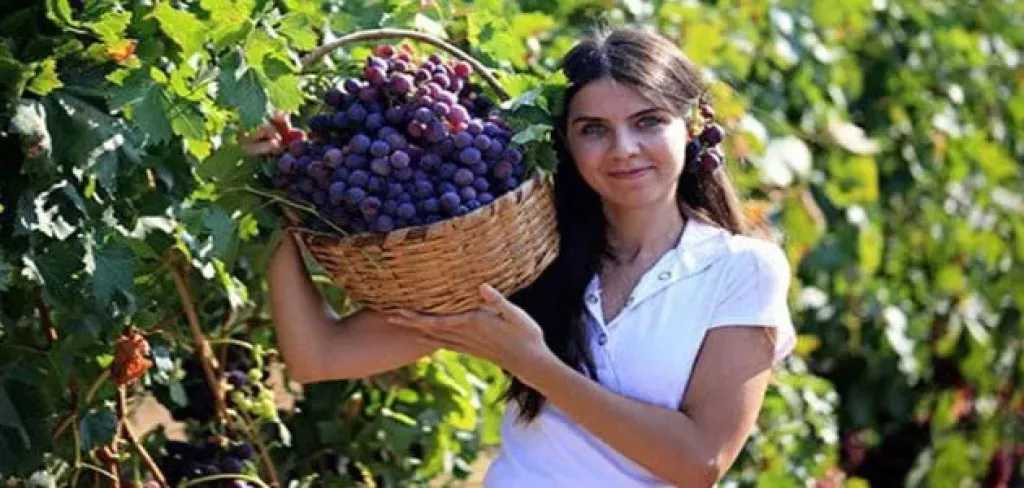 تفسير حلم أكل العنب .. دلالات الخير والرزق للعزباء والمتزوجة والحامل