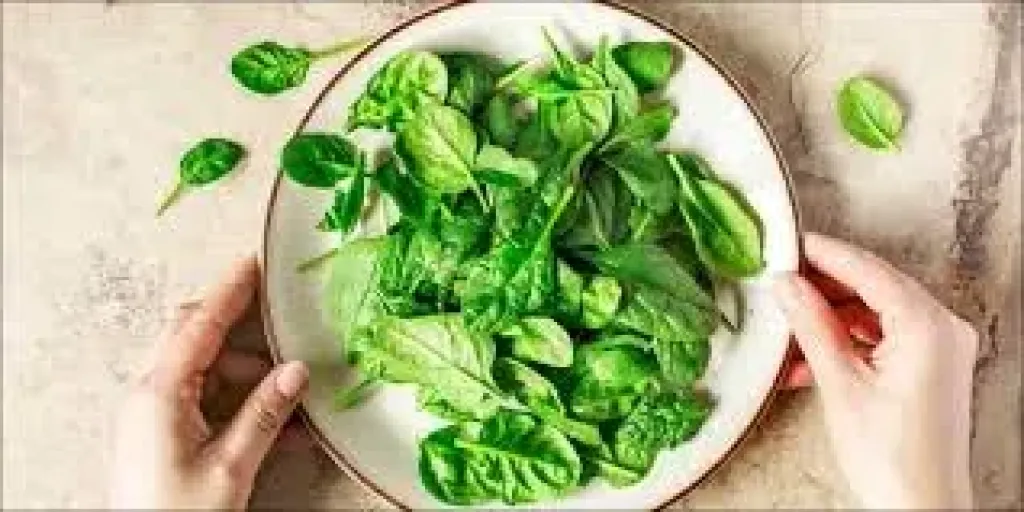 السبانخ