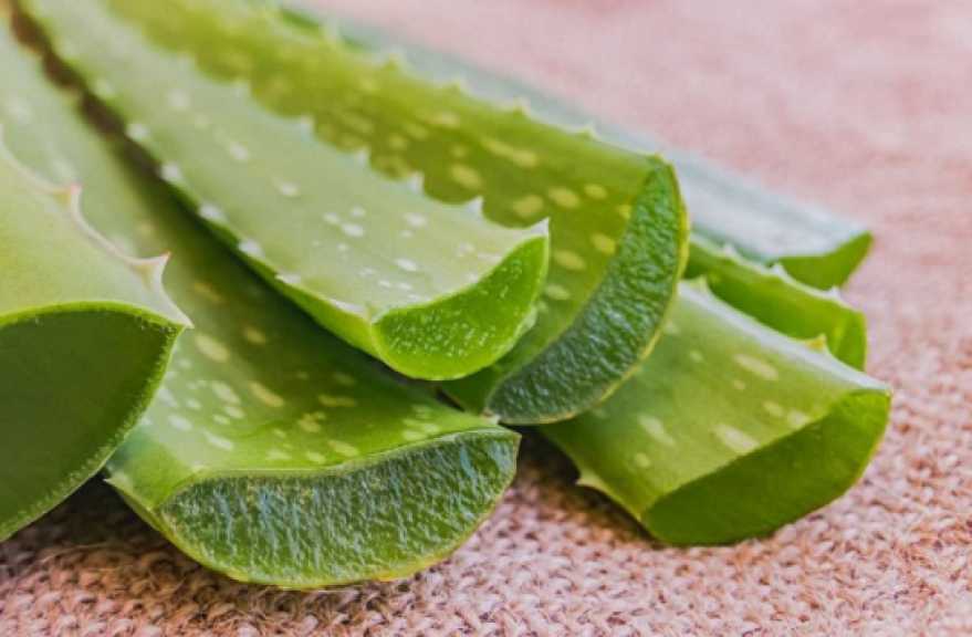 أفضل وصفات طبيعية للتخلص من القشرة والحفاظ على صحة فروة الرأس