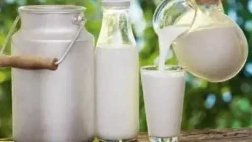 احذر ممنوعات الحليب.. المكملات الغذائية التي لا يجب تناولها معه وطرق الاستفادة المثلى منها