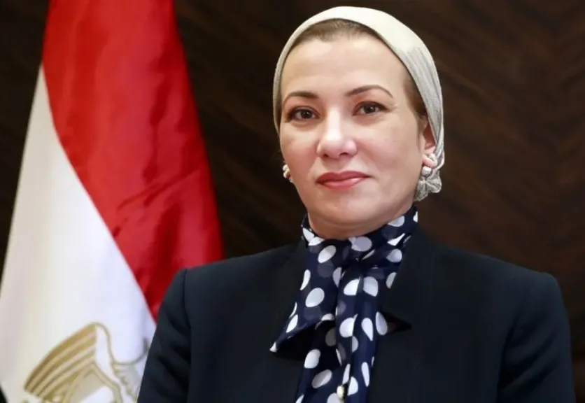 الدكتورة ياسمين فؤاد