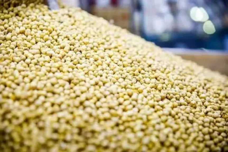 مقرمشات الحمص.. وجبة خفيفة صحية وسهلة التحضير لربة المنزل العصرية