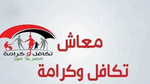 كيفية الاستعلام عن تكافل وكرامة 2025 بالرقم القومي .. خطوات سهلة ومباشرة