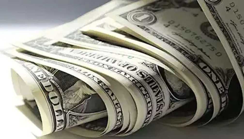 سعر الدولار اليوم .. استقرار ملحوظ أمام الجنيه المصري