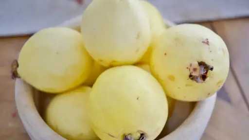 حافظي على صحة عائلتك.. طرق مميزة لتخزين الجوافة بذكاء وسهولة حافظي على صحة عائلتك.. طرق مميزة لتخزين الجوافة بذكاء وسهولة