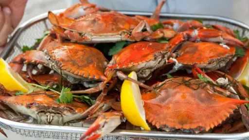 طريقة عمل الكابوريا الشهية.. وصفة مميزة لكل امرأة تبحث عن طعم لذيذ... طريقة عمل الكابوريا الشهية.. وصفة مميزة لكل امرأة تبحث عن طعم لذيذ وسهل التحضير