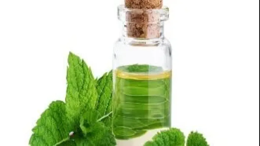 زيت النعناع