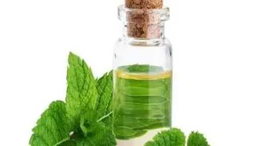 زيت النعناع.. صديقة المرأة للحفاظ على صحة الجهاز التنفسي وتحسين التنفس زيت النعناع.. صديقة المرأة للحفاظ على صحة الجهاز التنفسي وتحسين التنفس