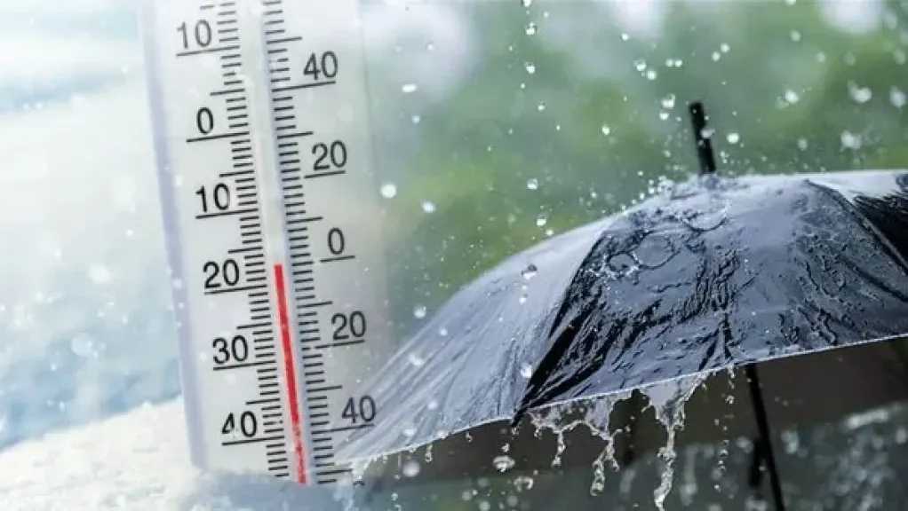 الطقس اليوم .. تحذيرات من الأمطار والشبورة