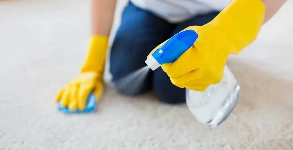 طرق ذكية وفعالة للتخلص من بقع السجاد بعناية وسهولة