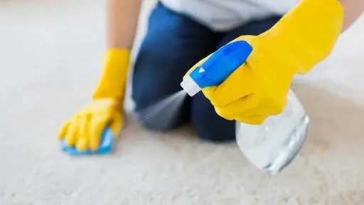 طرق ذكية وفعالة للتخلص من بقع السجاد بعناية وسهولة