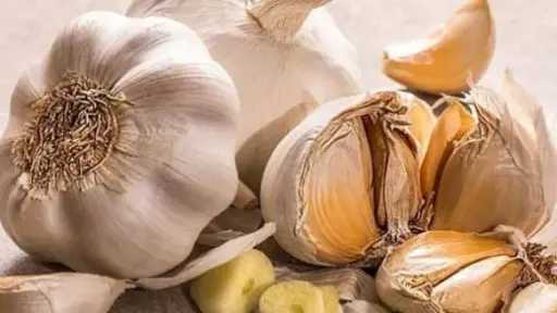 الثوم وسيلة للمرأة لاكتساب الصحة وقوة المناعة الثوم وسيلة للمرأة لاكتساب الصحة وقوة المناعة