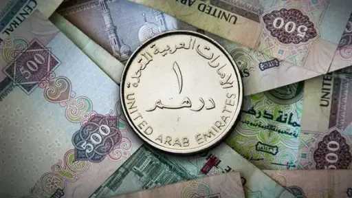 سعر الدرهم الإماراتي أمام الجنيه المصري اليوم